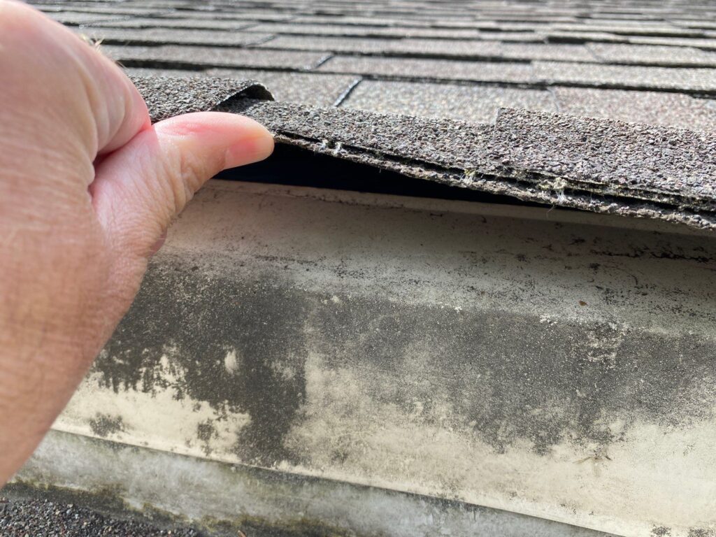 Damaged Roofing