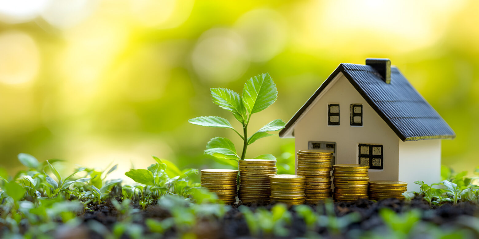 a house planted with a gold coin on its roof